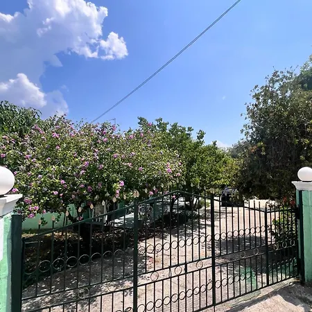 Anthia Κάτω Κορακιάνα