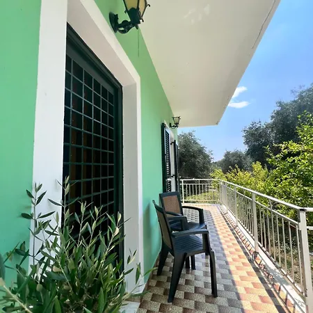 Anthia カト・コラキアナ