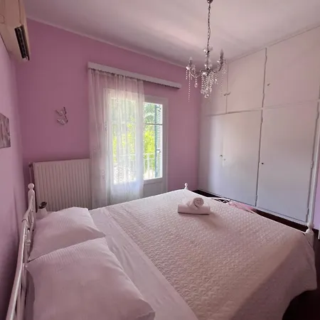 Anthia * カト・コラキアナ